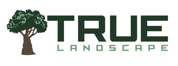 True Landscape